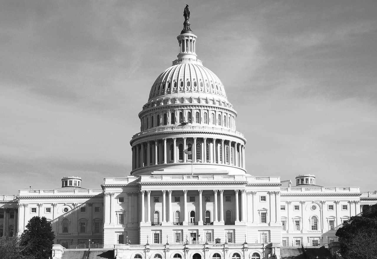 U.S. Capitol, Washington D.C.